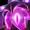 Vel'Koz