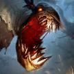 Fiddlesticks