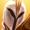 Kayle